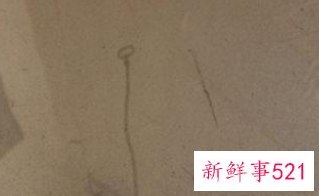 小龙虾的做法大全家常做法香辣