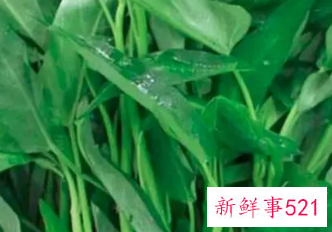 空心菜的营养价值表