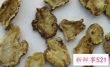 独活的功效与作用及禁忌症