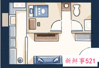 属虎的客厅挂什么讲究