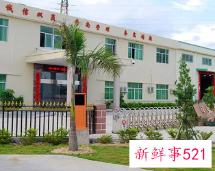 工贸公司名字简单大气