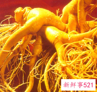 人参适合哪个季节吃比较好