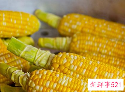 梦见玉米粉有什么征兆