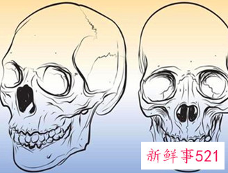 梦见头骨有什么征兆