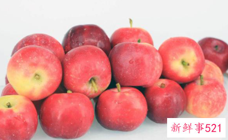 沙果哪里的品种最好