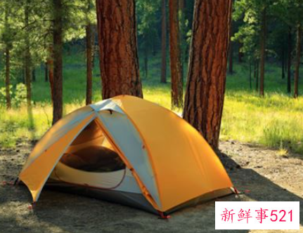 梦见在山谷中露营是什么意思