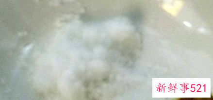 香辣蟹好吃的做法