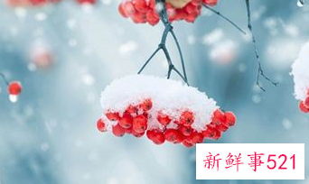 梦见下雪了代表什么是什么意思