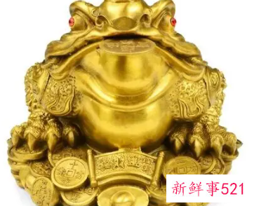 什么东西可以催财