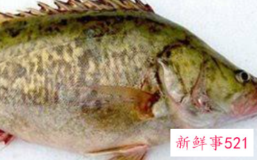 春季吃鱼的好处