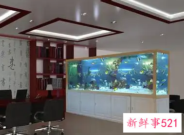 办公室鱼缸该如何摆放