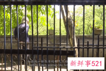 八旬老兵32年独守动物园