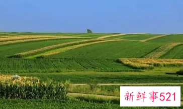 梦见耕地有什么意思