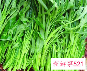 空心菜的营养价值表