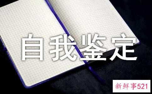 工作上的自我鉴定