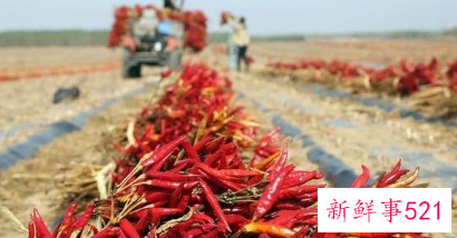 辣椒辣手怎么办最有效