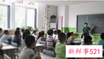 礼仪个人总结报告