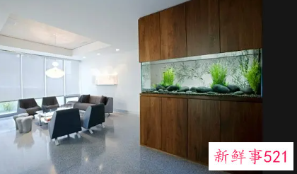 办公室鱼缸该如何摆放