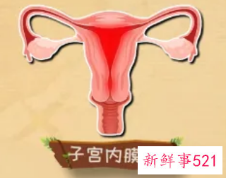 子宫内膜炎的注意事项