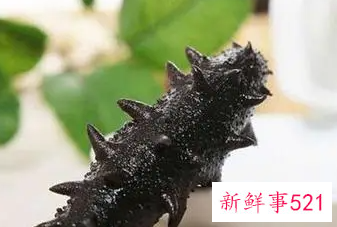 女人长期吃海参的好处