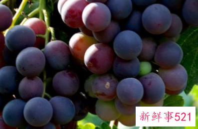 出门带什么水果方便