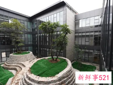 北京冬奥会场地有哪些