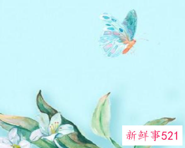 活动比赛总结范文