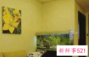 金鱼缸摆放在家里什么位置好