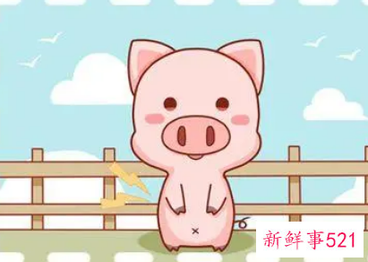 83年属猪女是孤寡命吗