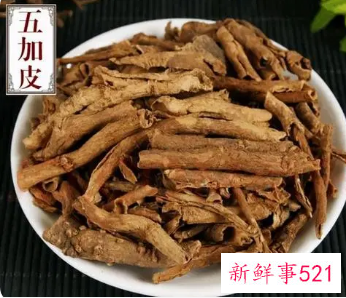 五加皮香加皮共同的功效