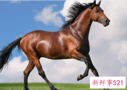 2022年工作调动生肖有谁呢