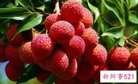 一日一水果排毒不用药