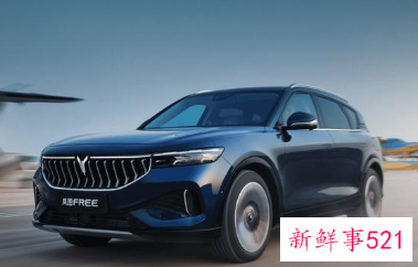 岚图FREE调价方案公布,纯电车型涨1万