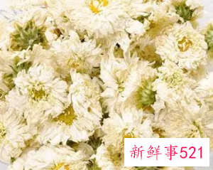 杭菊花的功效与作用点