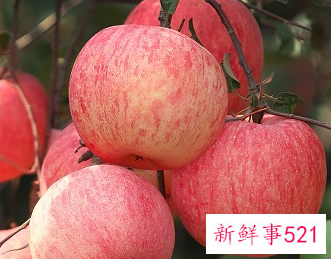 女人每天吃水果的变化