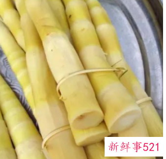 春笋怎么吃比较好