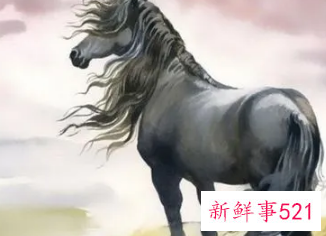 1990年属马开公司起啥名字