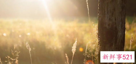 女人中的极致狠角色
