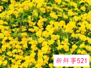 珠宝销售月工作总结