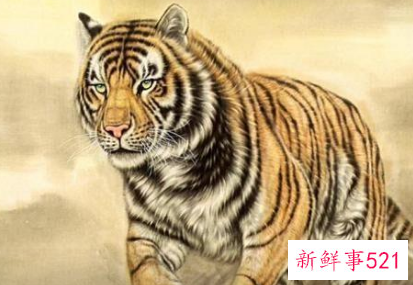 86年属虎招财名字