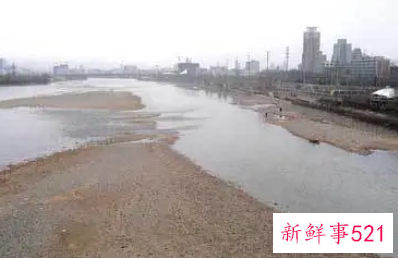 梦见河床的周公解梦