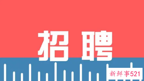 杜拉拉的招聘为什么会失败