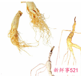 人参适合哪个季节吃比较好