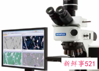 显微镜光轴校准