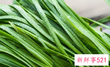 男人喝什么茶补肾壮阳好效果