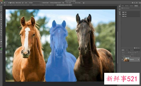 Adobe推出网页版Photoshop和程序有什么区别