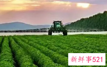 农村有什么好的致富商机