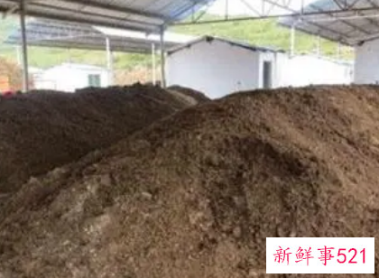 发酵鸡粪土怎么用