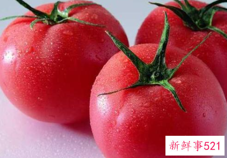 哪种青菜营养价值最高