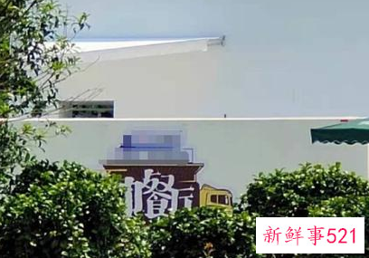 《中餐厅5》低调录制,龚俊带锅上节目成亮点